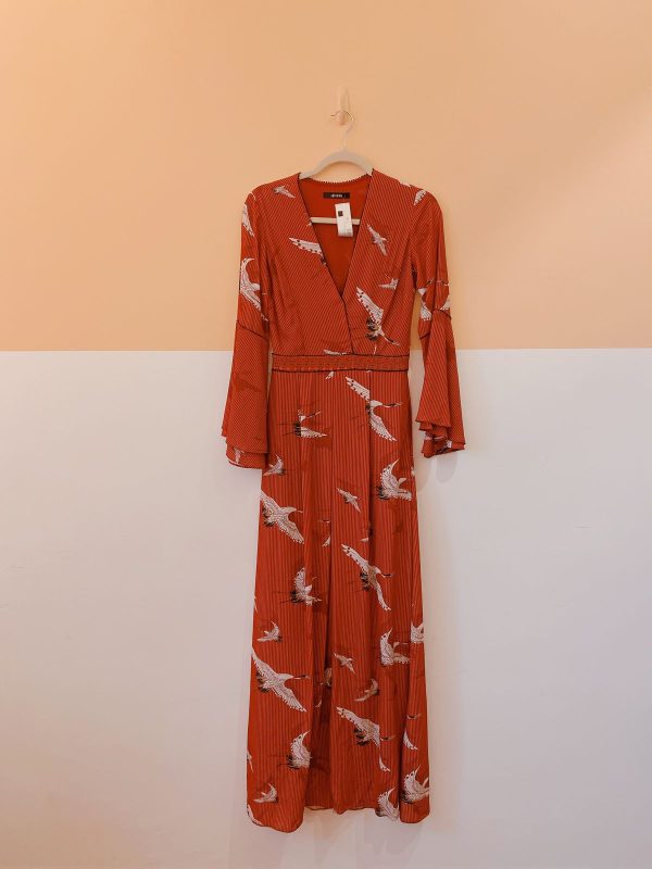 Vestido vermelho cisnes Amissima P